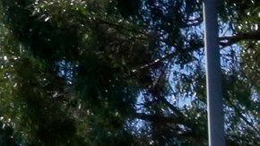 10/11/19 /LOS ANGELES/Ramp to the entrance of the 210 freeway closed at Maclay St. in San Fernando. Saddleridge Fire has forced mandatory evacuations and closed several freeways. (Aurelia Ventura/La Opinión)