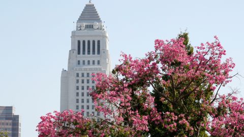 Ayuntamiento de Los Angeles