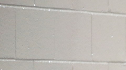 Entre los servicios disponibles se ayuda a la gente a limpiar sus hogares sin costo. (Aurelia Ventura)