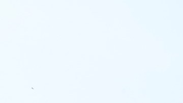 10/18/19 /LOS ANGELES/Amoeba Music in Hollywood (Aurelia Ventura/La Opinión)