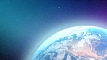 Las abejas son el ser vivo más importante del planeta por varias razones.