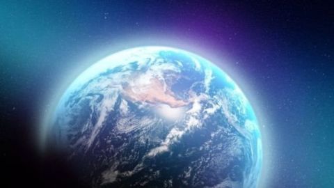 Las abejas son el ser vivo más importante del planeta por varias razones.