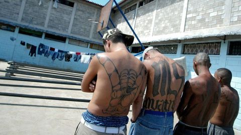109198449_gettyimages-56730314