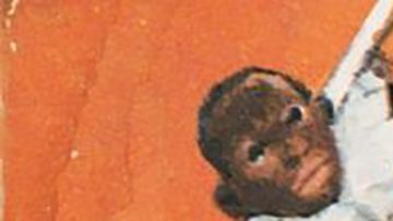 Ilustración del samurái negro.