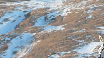 Kim Jong-un monta un caballo blanco en el monte Paektu cubierto de nieve,