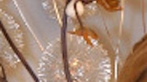 Rocío Sánchez Azuara y Christian Bach.