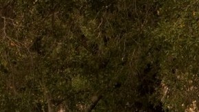 La Ford Flex cumplió 10 años este 2019