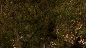 La Ford Flex cumplió 10 años este 2019