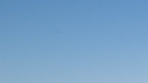 Trabajadores se preparan a trasplantar un gigantesco saguaro en la frontera sur.