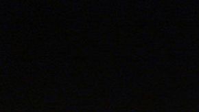 Rolex Daytona 6241 Paul Newman.