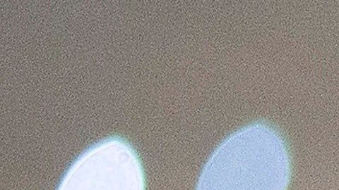 Bernie Sanders durante un acto de campaña en New Hampshire.