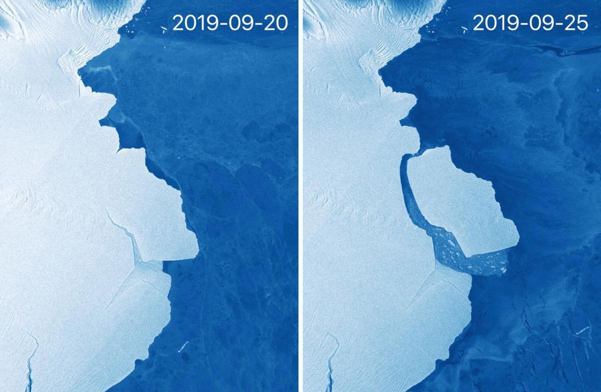 El sistema satelital de la Unión Europea Sentinel-1 capturó estas imágenes del antes y el después del desprendimiento del iceberg.
