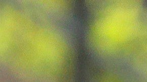 Xabi Alonso podría ir a prisión.