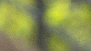 Xabi Alonso podría ir a prisión.