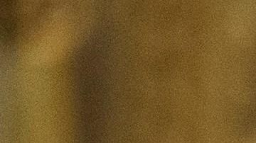 Trump criticó a los candidatos demócratas a la Presidencia.