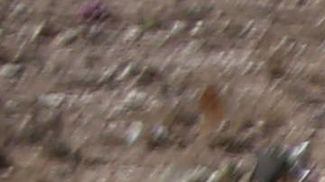 En Colinas de Santa Fe, donde encontraron restos de Arturo, hallaron 156 fosas más.