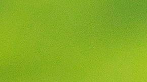 Trump habló sobre la incursión turca en Siria en la Casa Blanca.