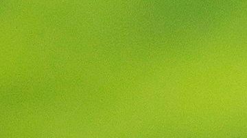 Trump habló sobre la incursión turca en Siria en la Casa Blanca.