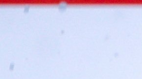 Mercedes aseguró su sexto título de Constructores de forma consecutiva.