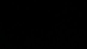 Biles es la mejor gimnasta de todos los tiempos, llegó veinticinco medallas superando el récord de Vitali Scherbo.