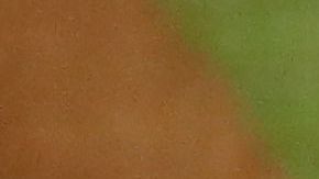 Houston se impuso en extra innings con un bombazo solitario de Carlos Correa.