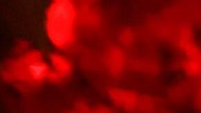 Día de Muertos México