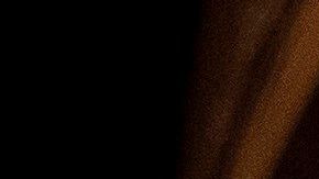 Graham pide una investigación formal que ofrezca todas las garantías al presidente.