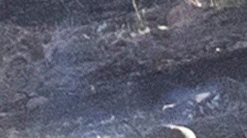 Bomberos apagan las brasas del Tick Fire en una colina de Agua Dulce cerca de Santa Clarita.