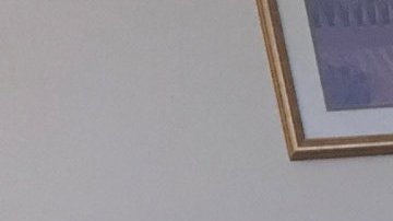 Los niños estuvieron solos durante horas.