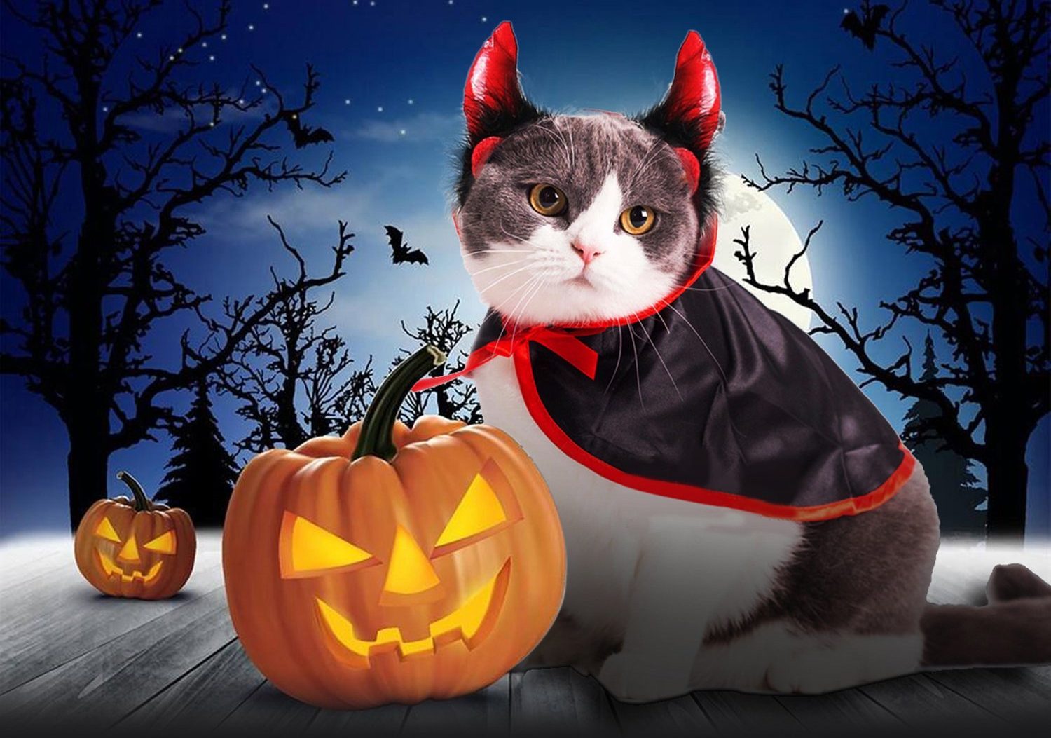 FLAdorepet Halloween Bate para Perro diseño de alas de Gato 