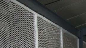 A autoridades mexicanas se les olvidan el Betito y El Pistache enemigos mortales de El Mencho