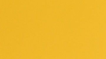 LOS ANGELES, CA - JANUARY 09: Adam Neumann attends WeWork Presents Second Annual Creator Global Finals at Microsoft Theater on January 9, 2019 in Los Angeles, California. (Photo by JB Lacroix/Getty Images)