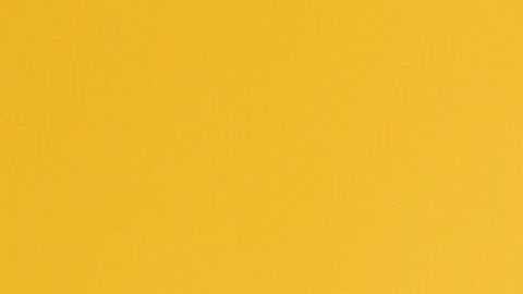 LOS ANGELES, CA - JANUARY 09: Adam Neumann attends WeWork Presents Second Annual Creator Global Finals at Microsoft Theater on January 9, 2019 in Los Angeles, California. (Photo by JB Lacroix/Getty Images)