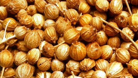 Semillas de mostaza