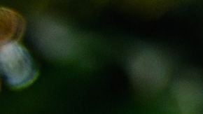 niños hiperactividad