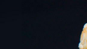 big-mac-1-centavo-mcdonalds