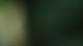 Guillermo Álvarez, el presidente del Cruz Azul.