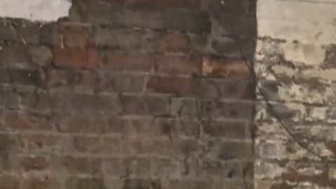 Encontró su casa inundada de sangre animal.