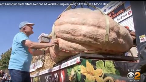 Esta es la calabaza que pesó... 2,175 libras y ganó un nuevo récord en California.