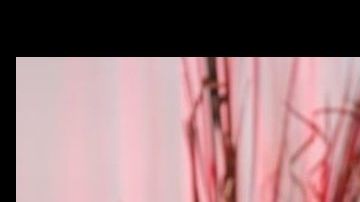 José José habló sobre su enfermedad.