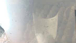 Animales malnutridos y mucha suciedad.