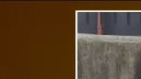 Los arrestados en el caso