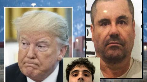 Chapo, Ovidio Guzmán y Donald Trump