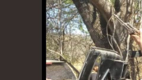 CJNG lanza temible amenaza
