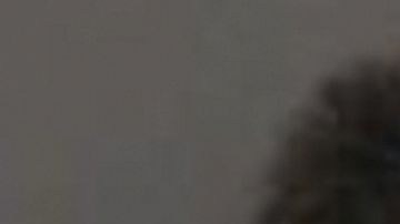 Combo de fotos de Michelle Louise Kolts y las bombas ocupadas.