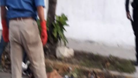 Del paraíso de Acapulco poco queda, es un infierno con jovencitos muertos y vehículos quemados