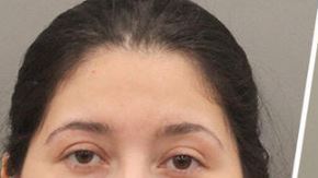 Los investigadores dijeron que Enrique Eduardo Álvarez, de 47 años, y Carolina Flores Paz, de 36 años, ejercían como doctores dentales.