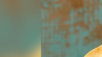 Los tacos mexicanos no se preparan con tortilla dorada.