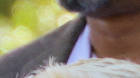 Un legado de muerte y abuso es lo que ha dejado la Operación Guardián, según activistas.