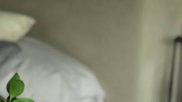 Erika Zaba y Francisco Ontiveros